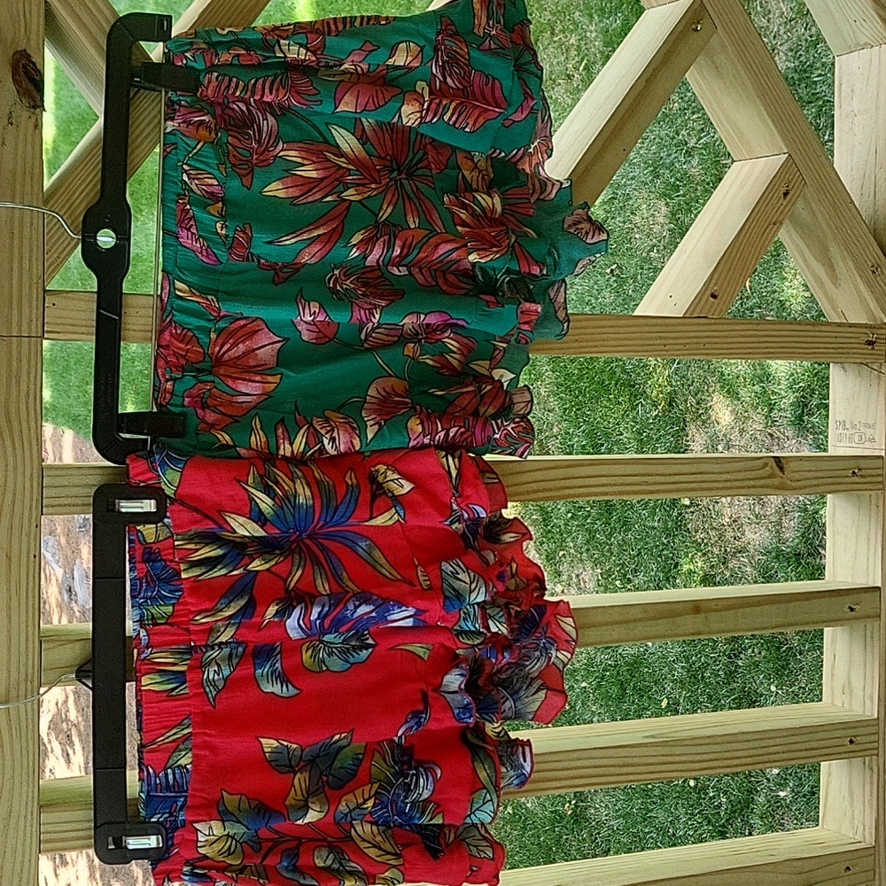 2 shorts